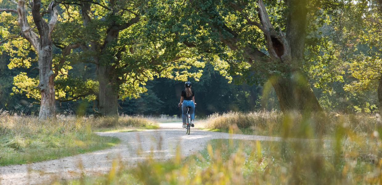 Bike ride in Dyrehaven