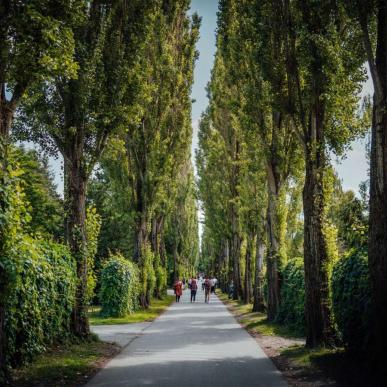 Assistens Cemetery | Simon Bang